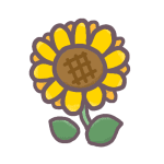 ヒマワリの花のイラストで背景は透明