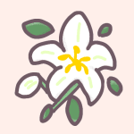 百合の花のイラスト