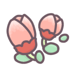 花のつぼみのイラストで背景は透明