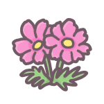 コスモスのイラストで背景は透明