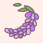 藤の花のイラストで背景はピンク色