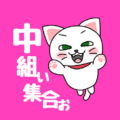 白猫が飛び上がるイラストで背景は濃いピンク「中組ぃ集合ぉ」のロゴあり