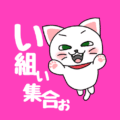 白猫が飛び上がるイラストで背景は濃いピンク「い組ぃ集合ぉ」のロゴあり