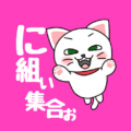 白猫が飛び上がるイラストで背景は濃いピンク「に組ぃ集合ぉ」のロゴあり