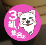 アイコン見本（白猫イラスト）