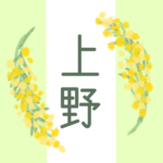 白と黄緑の背景に爽やかでかわいいミモザの花束があるイラスト「上野」のロゴあり