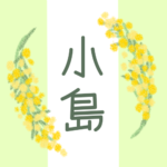 白と黄緑の背景に爽やかでかわいいミモザの花束があるイラスト「小島」のロゴあり