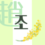 白と黄緑の背景に爽やかでかわいいミモザの花束があるイラスト「趙」の韓国語ロゴあり
