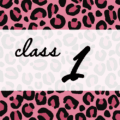 クールでかっこいいピンクヒョウ柄に「class 1」のロゴあり