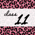 クールでかっこいいピンクヒョウ柄に「class 11」のロゴあり