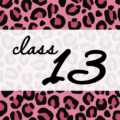 クールでかっこいいピンクヒョウ柄に「class 13」のロゴあり