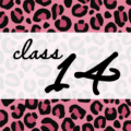 クールでかっこいいピンクヒョウ柄に「class 14」のロゴあり