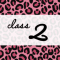 クールでかっこいいピンクヒョウ柄に「class 2」のロゴあり