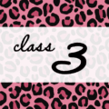 クールでかっこいいピンクヒョウ柄に「class 3」のロゴあり