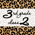 クールでかっこいいヒョウ柄に「3rdgrade class2」のロゴあり
