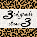 クールでかっこいいヒョウ柄に「3rdgrade class3」のロゴあり