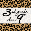 クールでかっこいいヒョウ柄に「3rdgrade class9」のロゴあり