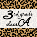 クールでかっこいいヒョウ柄に「3rdgrade classA」のロゴあり