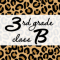 クールでかっこいいヒョウ柄に「3rdgrade classB」のロゴあり