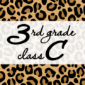 クールでかっこいいヒョウ柄に「3rdgrade classC」のロゴあり