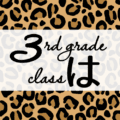 クールでかっこいいヒョウ柄に「3rdgrade classは」のロゴあり