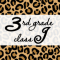 クールでかっこいいヒョウ柄に「3rdgrade classJ」のロゴあり