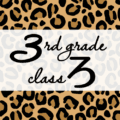 クールでかっこいいヒョウ柄に「3rdgrade classろ」のロゴあり