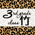 クールでかっこいいヒョウ柄に「3rdgrade class竹」のロゴあり