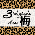 クールでかっこいいヒョウ柄に「3rdgrade class梅」のロゴあり
