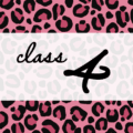 クールでかっこいいピンクヒョウ柄に「class 4」のロゴあり