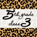 クールでかっこいいヒョウ柄に「5thgrade class3」のロゴあり