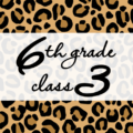 クールでかっこいいヒョウ柄に「6thgrade class3」のロゴあり