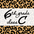 クールでかっこいいヒョウ柄に「6thgrade classC」のロゴあり