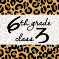 クールでかっこいいヒョウ柄に「6thgrade classろ」のロゴあり