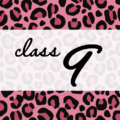 クールでかっこいいピンクヒョウ柄に「class 9」のロゴあり