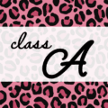 クールでかっこいいピンクヒョウ柄に「class A」のロゴあり