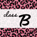 クールでかっこいいピンクヒョウ柄に「class B」のロゴあり