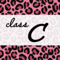 クールでかっこいいピンクヒョウ柄に「class C」のロゴあり