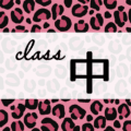 クールでかっこいいピンクヒョウ柄に「class 中」のロゴあり