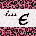 クールでかっこいいピンクヒョウ柄に「class E」のロゴあり
