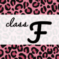 クールでかっこいいピンクヒョウ柄に「class F」のロゴあり