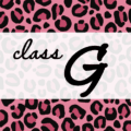 クールでかっこいいピンクヒョウ柄に「class G」のロゴあり