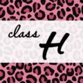 クールでかっこいいピンクヒョウ柄に「class H」のロゴあり