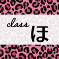 クールでかっこいいピンクヒョウ柄に「class ほ」のロゴあり