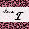 クールでかっこいいピンクヒョウ柄に「class I」のロゴあり