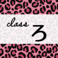 クールでかっこいいピンクヒョウ柄に「class ろ」のロゴあり