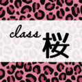 クールでかっこいいピンクヒョウ柄に「class 桜」のロゴあり