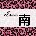 クールでかっこいいピンクヒョウ柄に「class 南」のロゴあり