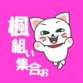 ピンク色の背景に白猫が飛び出すかわいいイラスト「楓組ぃ集合ぉ」のロゴあり