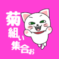 ピンク色の背景に白猫が飛び出すかわいいイラスト「菊組ぃ集合ぉ」のロゴあり